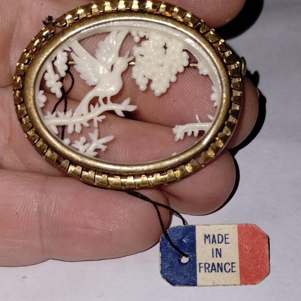 Vtg French Celluloid Bird Pin Brooch with Made in France Tag